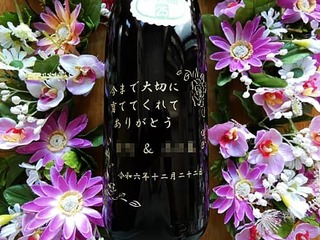 VYVw痼e֑v[gp̖{g