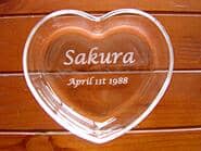 �����ꏬ������E�A�N�Z�T���[�P�[�X�̊����ʐ^