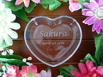 �V�����̖��O�Ɠ��w���̓��t�𒤍������A���w�L�O�i�p�̃K���X����������