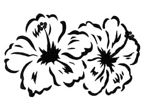 �����ꏬ������ɒ�������̂ɓK�����C���X�g�i�n�C�r�X�J�X�j�̃T���v��