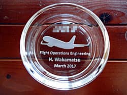 ��Ђ̃��S�}�[�N�Ɣ�s�@�̃C���X�g���ʂɒ��������A��N�ސE�̑��蕨�p�̃K���X���D�M