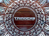 ���S�𒤍������A���N�j���p�̊D�M