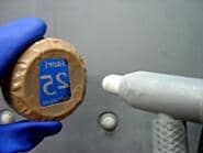 ������D�M�̃T���h�u���X�g�H��