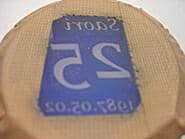 ������D�M�̃T���h�u���X�g�����ʐ^