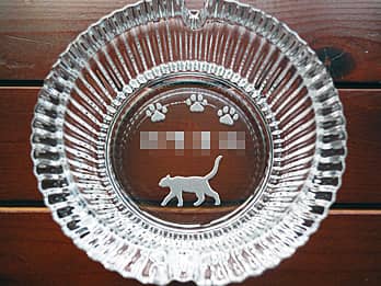 �l�R�̃C���X�g���ʂɒ��������A�����j���p�̃K���X���D�M