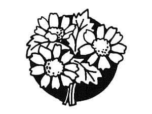 �����̕r�ւ̒����ɓK�����C���X�g�i�ԁj�̃T���v��