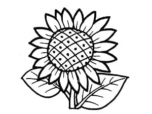 �����̕r�ւ̒����ɓK�����C���X�g�i�ԁj�̃T���v��