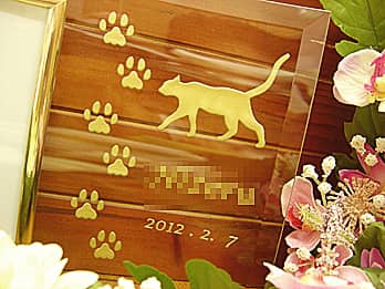 �l�R�̃C���X�g�𒤍������A�a�����v���[���g�p�̃K���X���ʐ^����