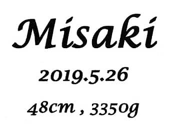 �u�Ԃ����̖��O�A�a�����A�o�����̐g���Ƒ̏d�v�����C�A�E�g�����A�o�Y�j���p�̏�������ɒ�������}��