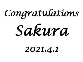 �u���j�����b�Z�[�W�A�V�����̖��O�A���w���̓��t�v�����C�A�E�g�����A���w�j���p�̏�������ɒ�������}��