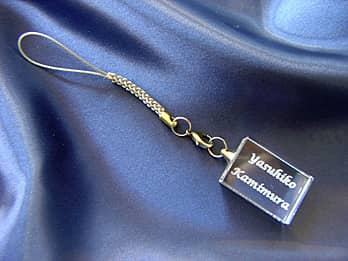 �K���X���̏���ɖ��O�𒤍������X�g���b�v