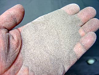 �T���h�u���X�g�ŗp���������