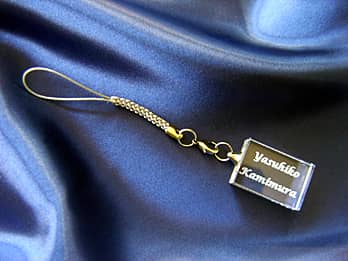 �����̂̃K���X���ɁA��������̖��O�𒤍��������̓��̃v���[���g�p�̃X�g���b�v