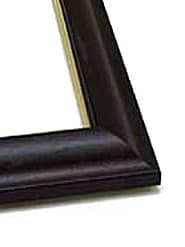 �����ꋾ�E�~���[FR-5�p�̊z���̉摜