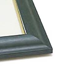 ������C���e���A�~���[FR-8�̊z���̉摜