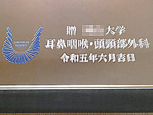 ��w�̃}�[�N�Ƒ�w����\�ʂɒ��������C���e���A�~���[FR-8