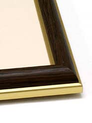 �����ꋾ�E�~���[FR-1�p�̊z���̉摜