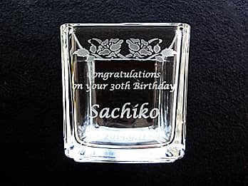 ��������������Ԋ�FV-2