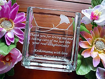 ��̓��̃v���[���g�p�̖�����Ԋ�FV-2