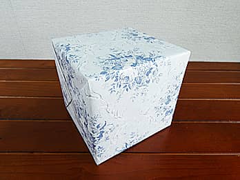 ������Ԋ�FV-2�̃��b�s���O��̉摜