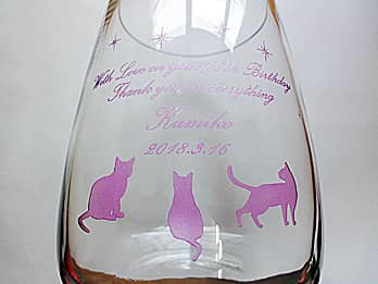 �l�R�̃C���X�g�𑤖ʂɒ��������A�Ê�j���p�̃K���X�Ԋ�