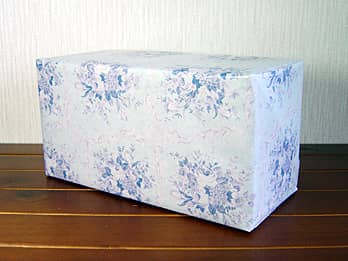 ������t�����[�x�[�XFV-7�̃��b�s���O��̉摜