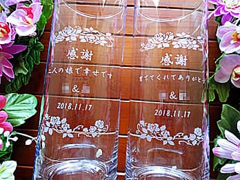 �V�Y�V�w���痼�e�֑��悷�閼����ԕrFV-9