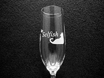 ���H�X�̃��S�}�[�N�𑤖ʂɒ��������V�����p���O���XG-2