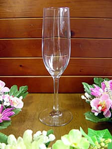 �V�����p���O���X