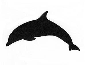 �O���X���ʂɒ�������̂ɓK�����C���X�g�̃T���v��