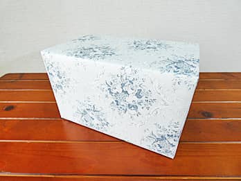 ������r�A�W���b�LG-9�̃��b�s���O��