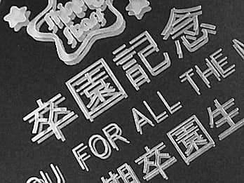 �c�t���Ɋ񑡂���u�b�N�^�ʐ^���Ă̋������ɒ��������u�����L�O�v�̐ڎʉ摜