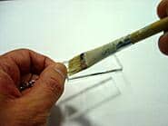 �ڒ��܂�h�z�����L�[�z���_�[�̃K���X��