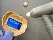 �T���h�u���X�g���H