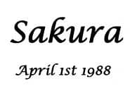 ��������E�A�N�Z�T���[�P�[�X�ɒ�������}��