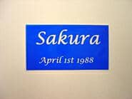 �}�Ă�]�ʂ����}�X�L���O�V�[�g