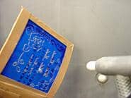 �T���h�u���X�g���H���Ă���ʐ^����