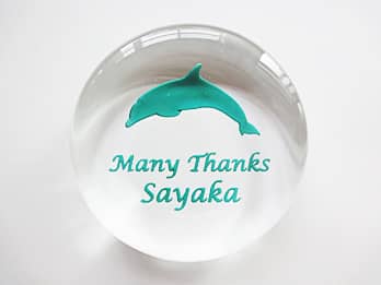 ���������O���[���ɒ��F���H�����K���X���y�[�p�[�E�F�C�g