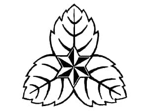 �K���X���y�[�p�[�E�F�C�g�ւ̒����ɓK�����Z�͂̃T���v��