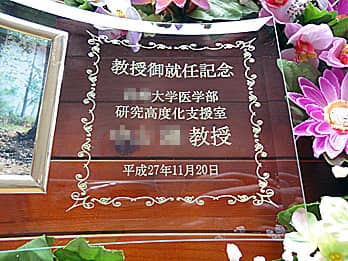 �u������A�C�L�O ������w��w�����������A�A�C���̓��t�v�𒤍������A�����A�C�j���p�̃K���X���ʐ^����