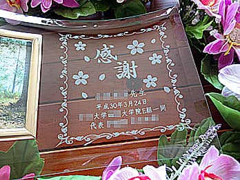 �u���� �����搶�v�𒤍������A���Ɛ�����搶�ɑ���v���[���g�p�̃K���X���ʐ^����