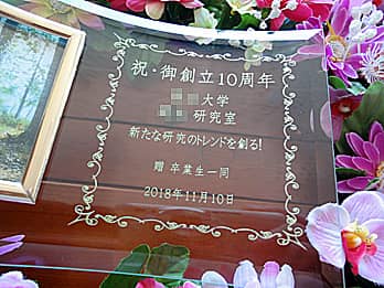 �����������N�j���p�̖�����ʐ^����