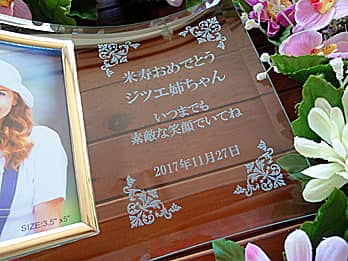 ���鑊��̖��O�Ƃ��j�����b�Z�[�W�𒤍������A�Ď��j���p�̃K���X���ʐ^����