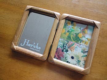 ���X�̃��S�𒤍������A�ؐ��u�b�N�^�̖�����ʐ^����PF-3