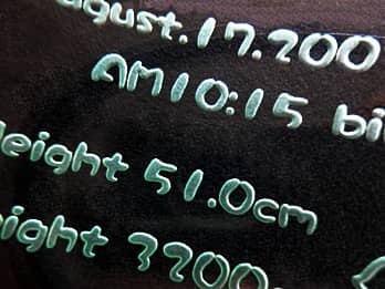 �o�Y�j���p�̃K���X���t�H�g�t���[���ɒ��������A�u�Ԃ����̐��N�����A�o�����ԁA�o�����̐g���Ƒ̏d�v�̃N���[�Y�A�b�v�摜