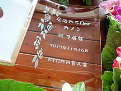 �u�������̖��O�A�j2���N�A��������v�𒤍������A���N�j���p�̃t�H�g�X�^���h