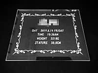 「赤ちゃんの名前、生年月日と出生時間、生まれた時の身長と体重」を彫刻した、赤ちゃん誕生祝い用のガラス盾