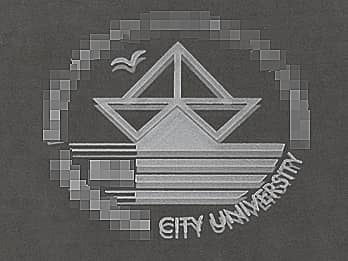 �ܕi�p�̋��̕\�ʂɒ��������u��w�̃N���u�̃��S�}�[�N�v�̉摜