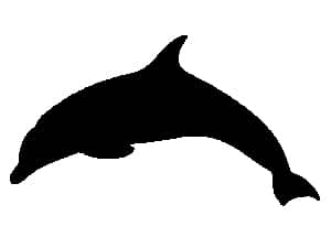 �K���X���y�[�p�[�E�F�C�g�ւ̒����ɓK�����C���X�g�i�C���J�j�̃T���v��