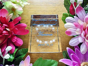 �u���j�����b�Z�[�W�A���鑊��̖��O�A�A�C���̓��t�v�𑤖ʂɒ��������A�A�C�j���p�̃K���X���I�u�W�F